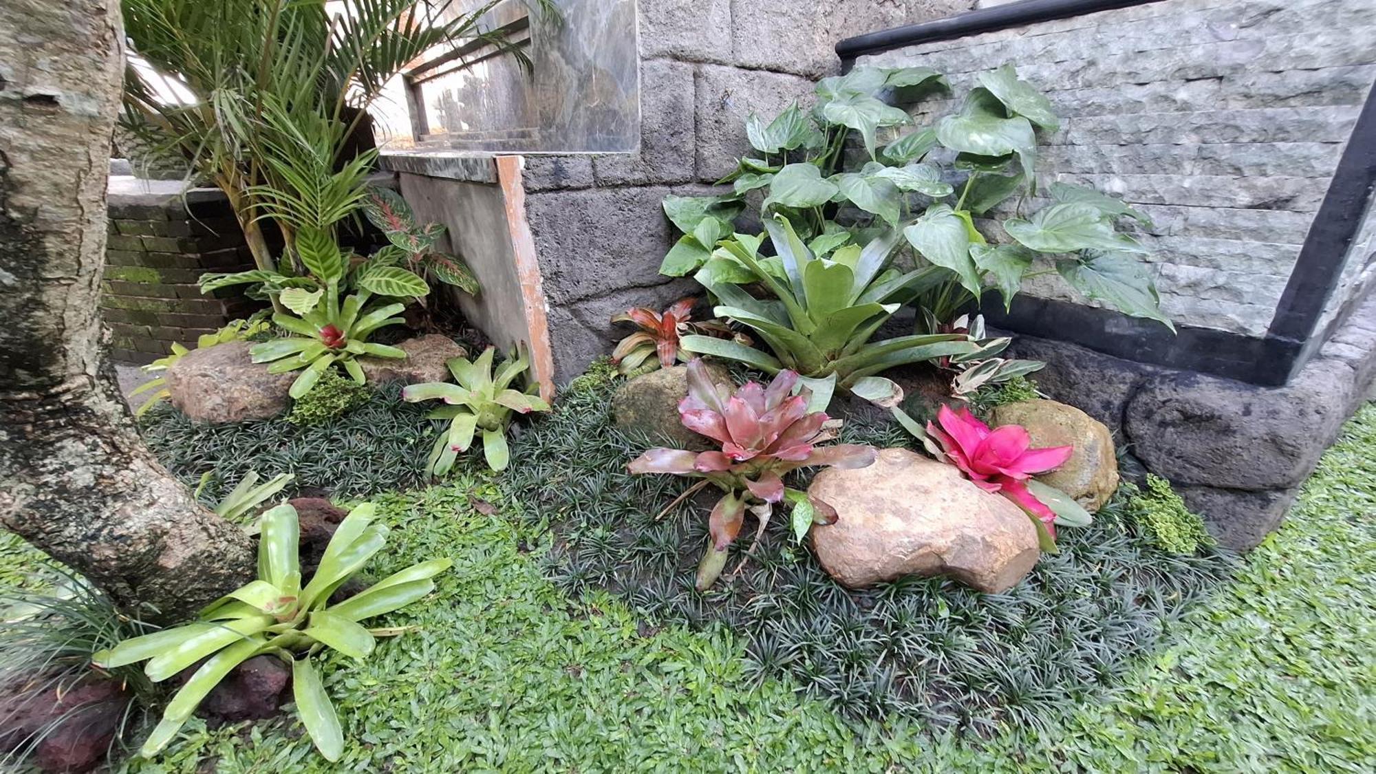 Asna House Guest house Ubud (Bali)