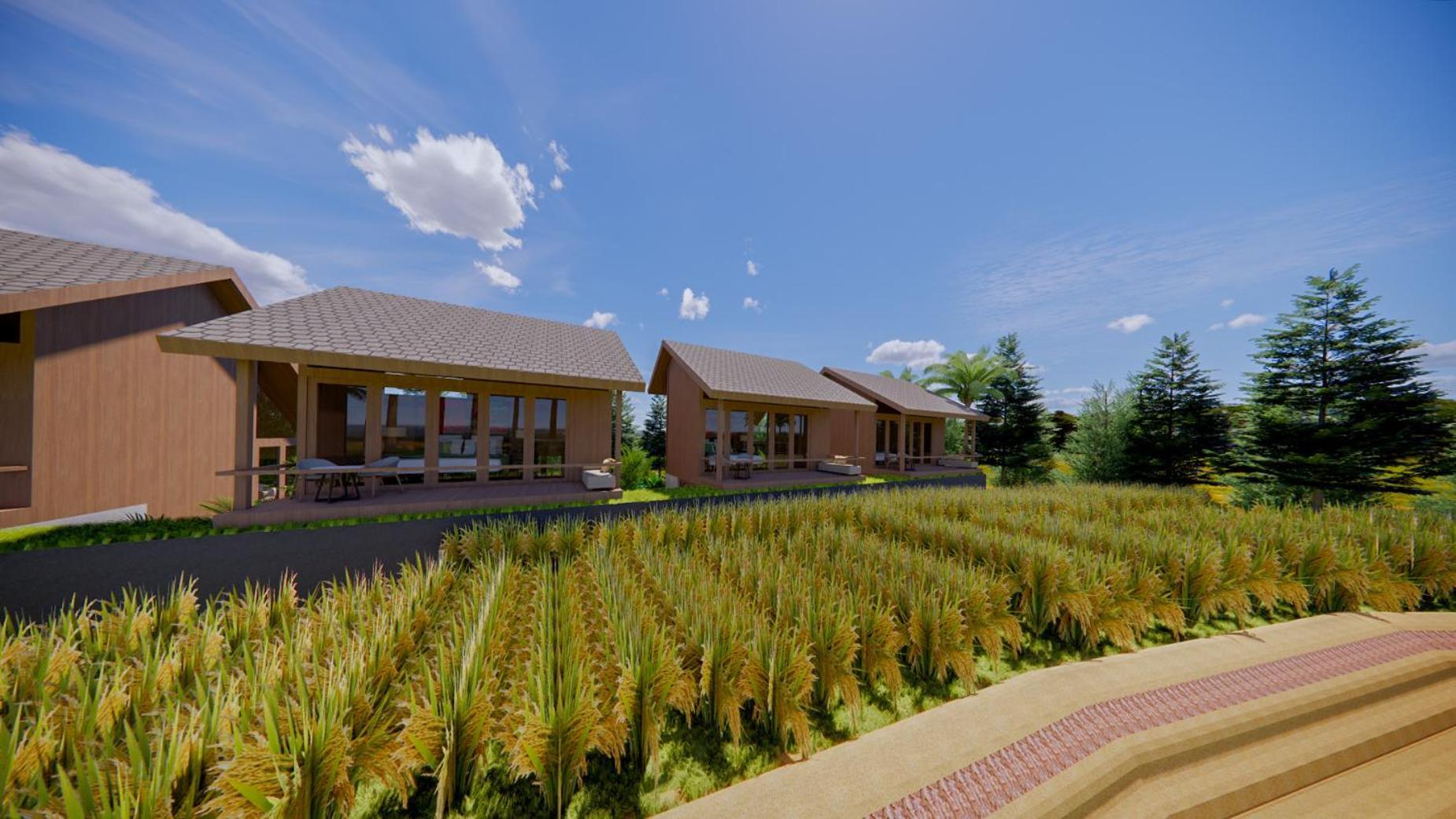 Anandadara & 5* Ubud (Bali)