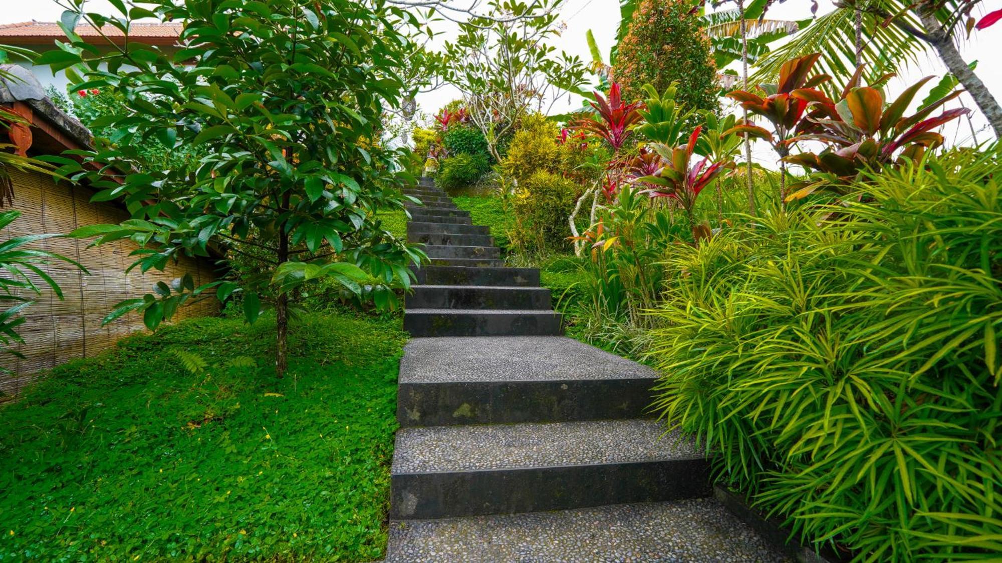 Coconut Guest house