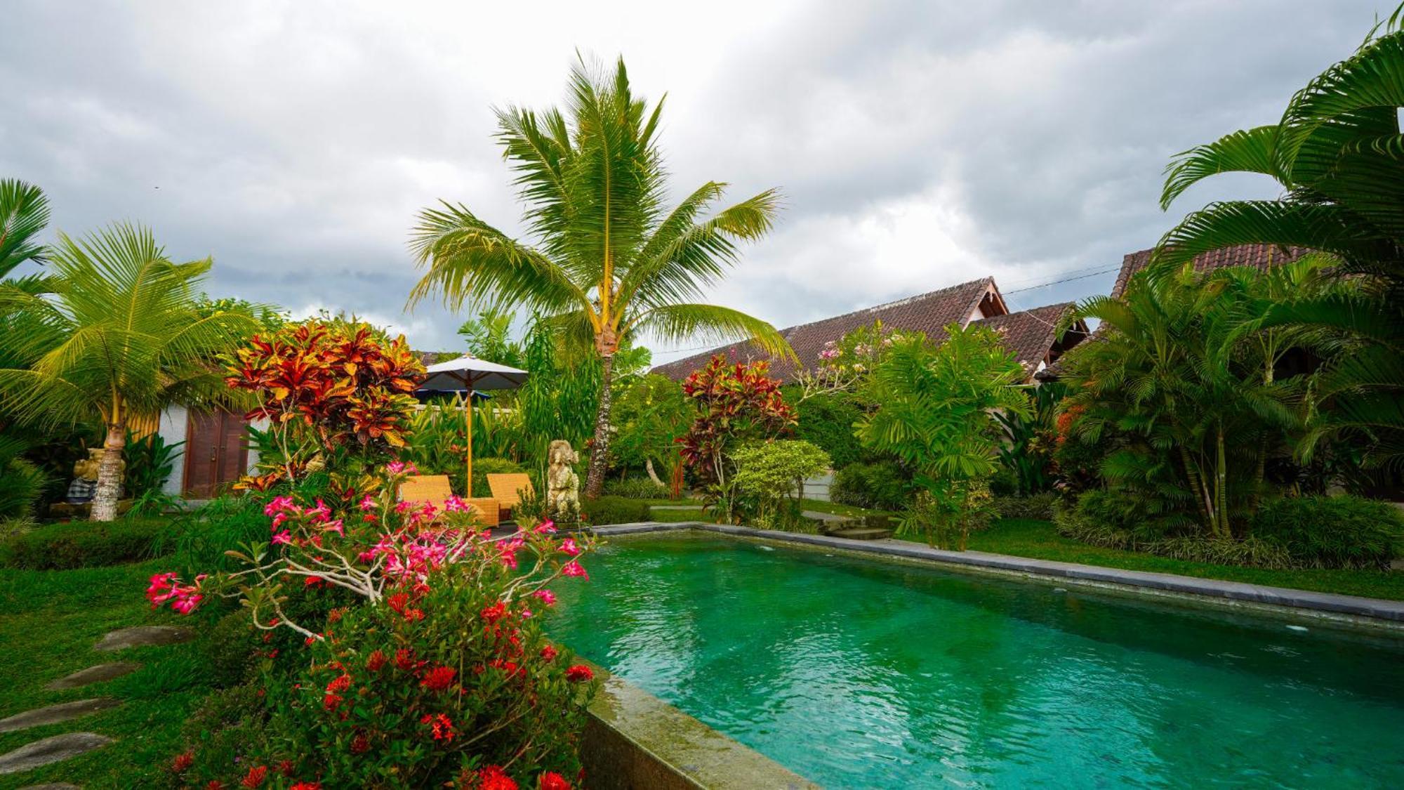 Guest house Coconut *