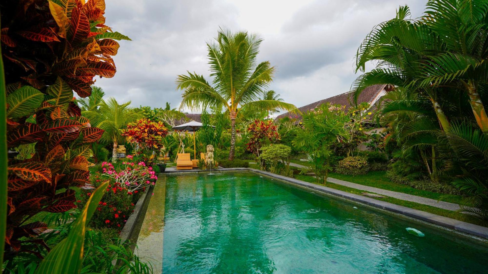 Coconut Guest house Ubud (Bali)