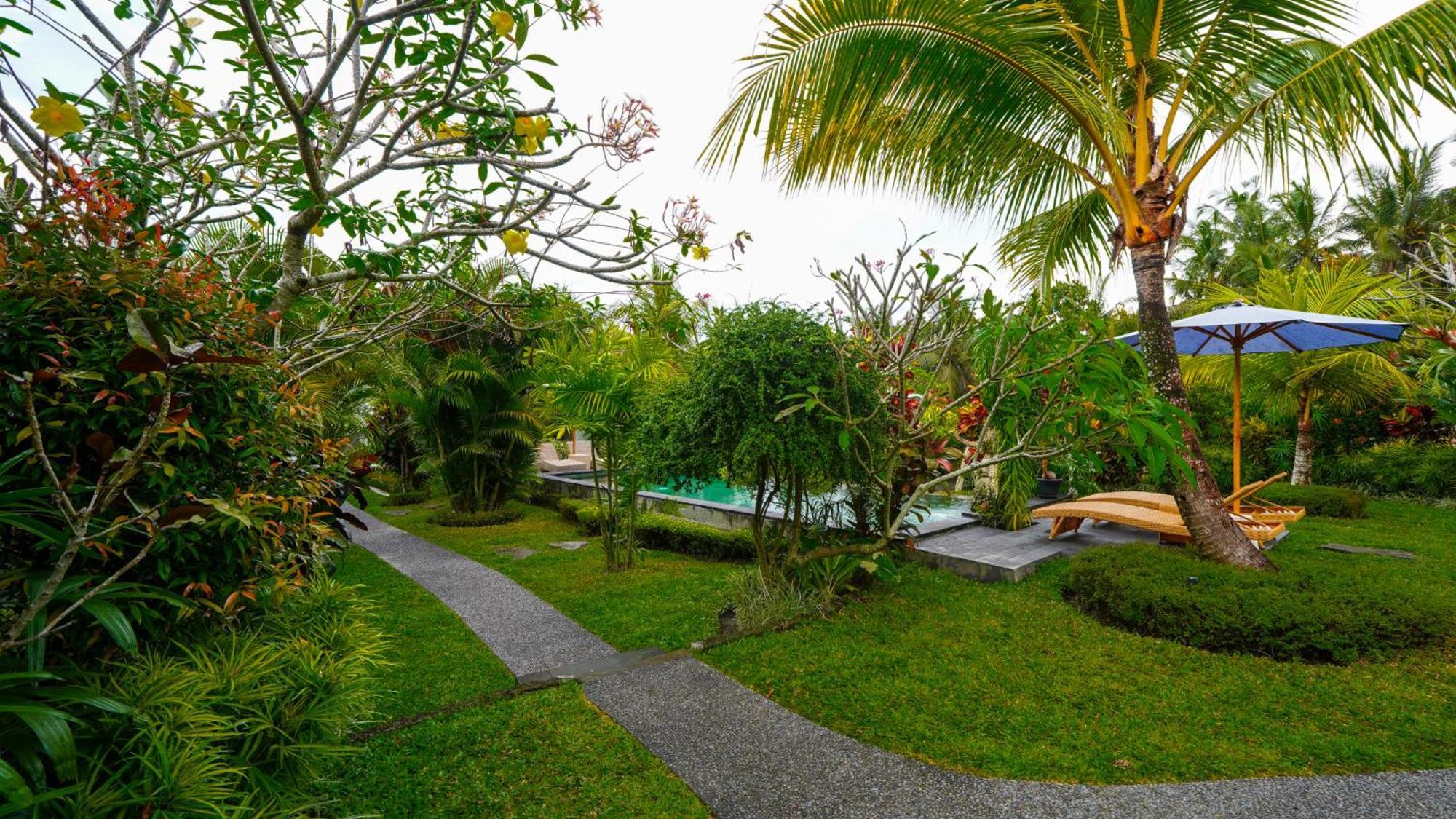 Guest house Coconut Ubud (Bali)