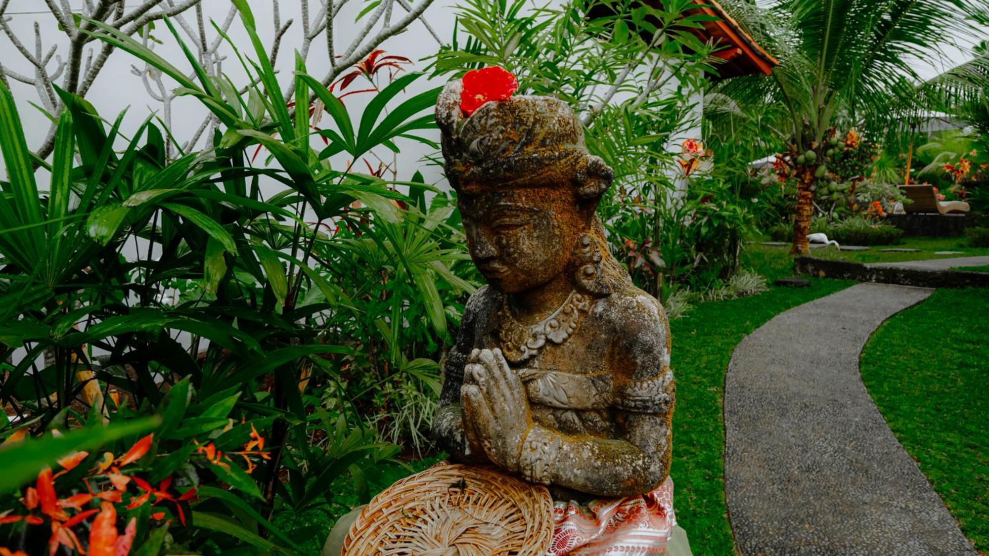 Coconut * Ubud (Bali)