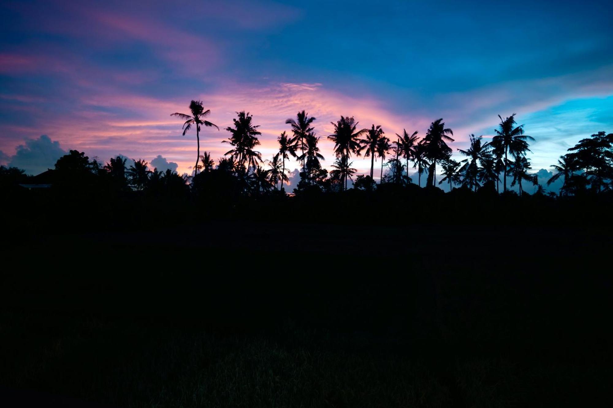 Villa Joglo Hati - A Heartbeat In Paradise *