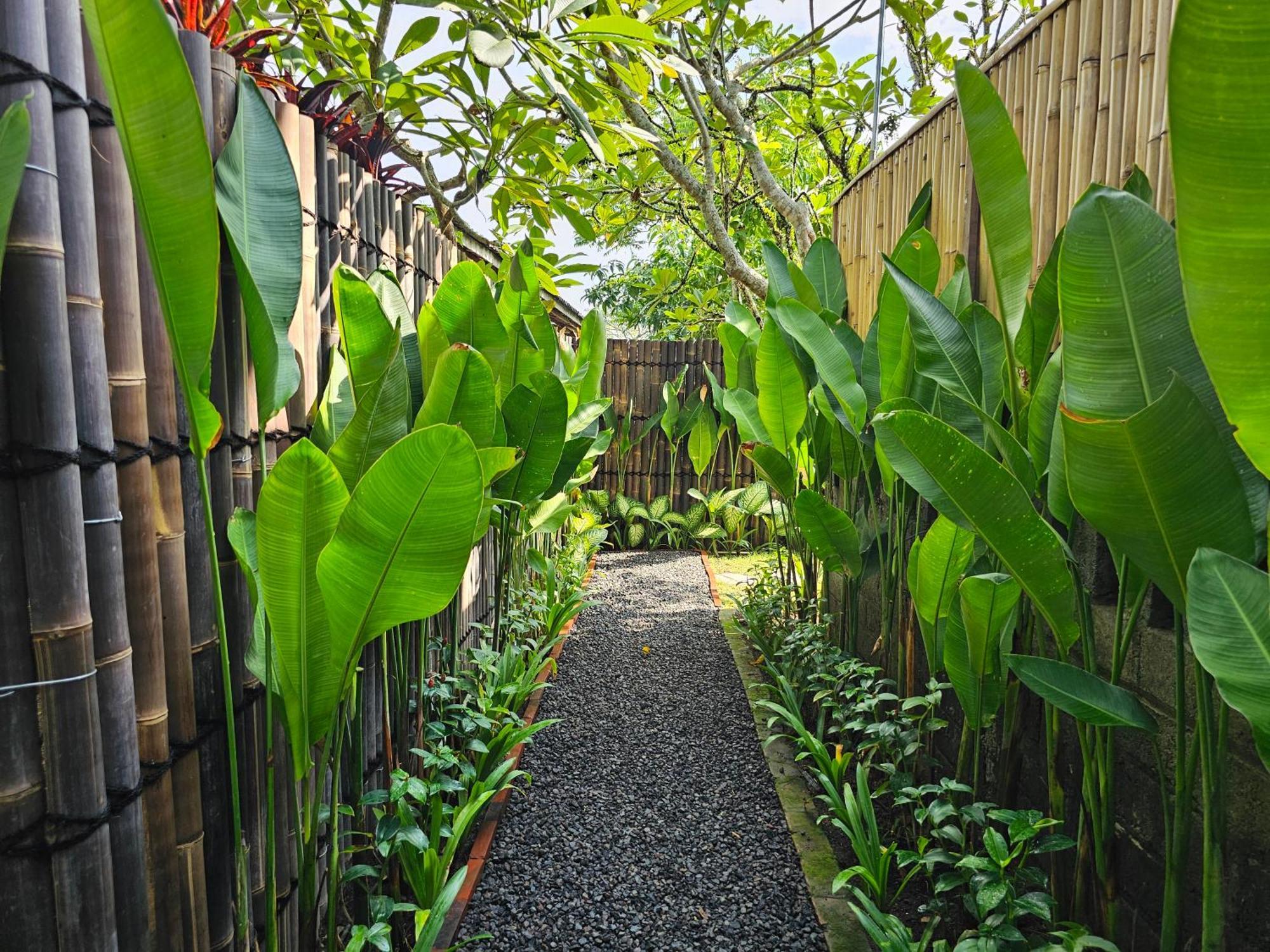 Villa Diyara - 6000 Sq Ft Private - Stunning Rice Field View - Big Pool & Garden