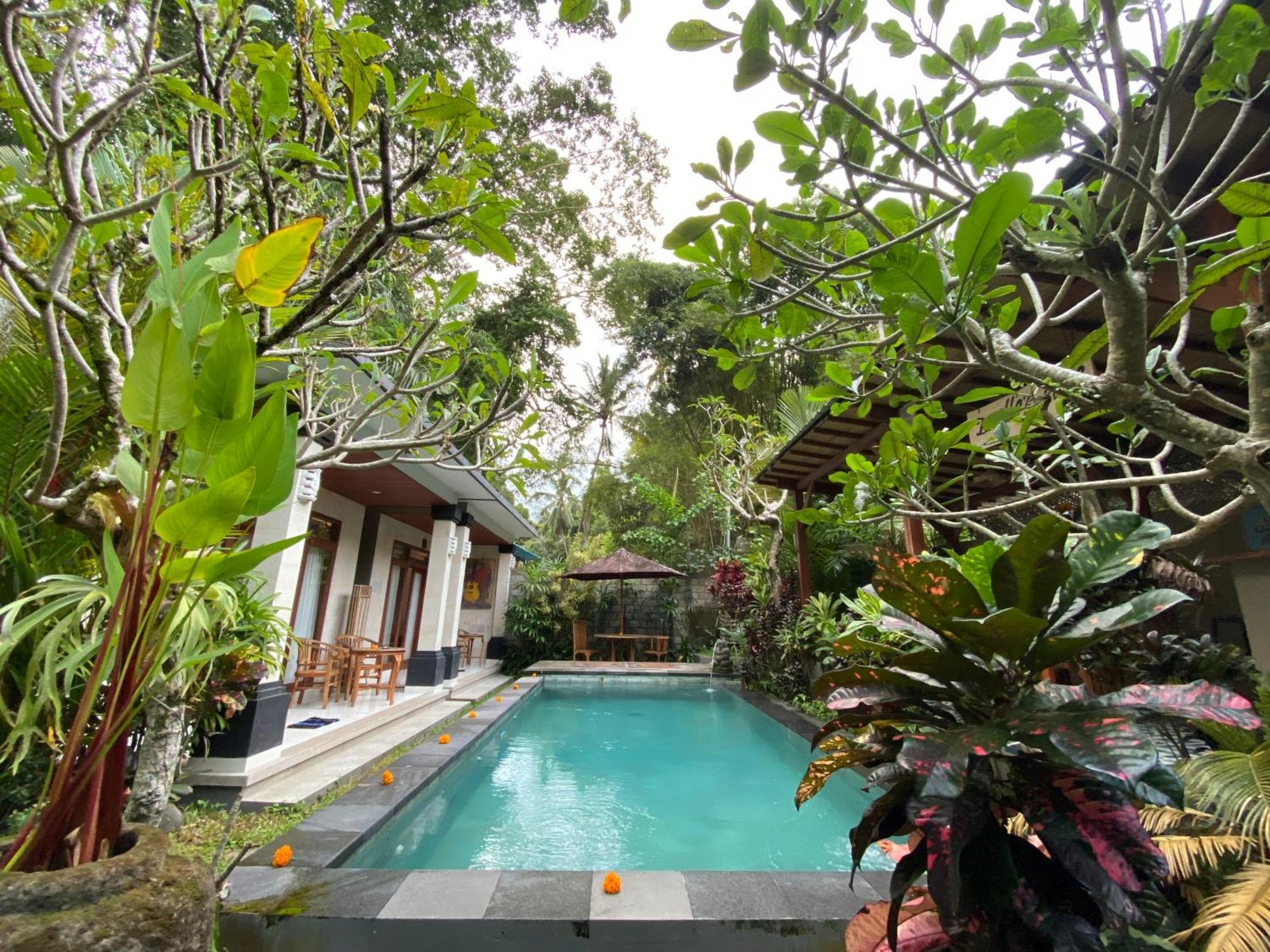 D'bunut