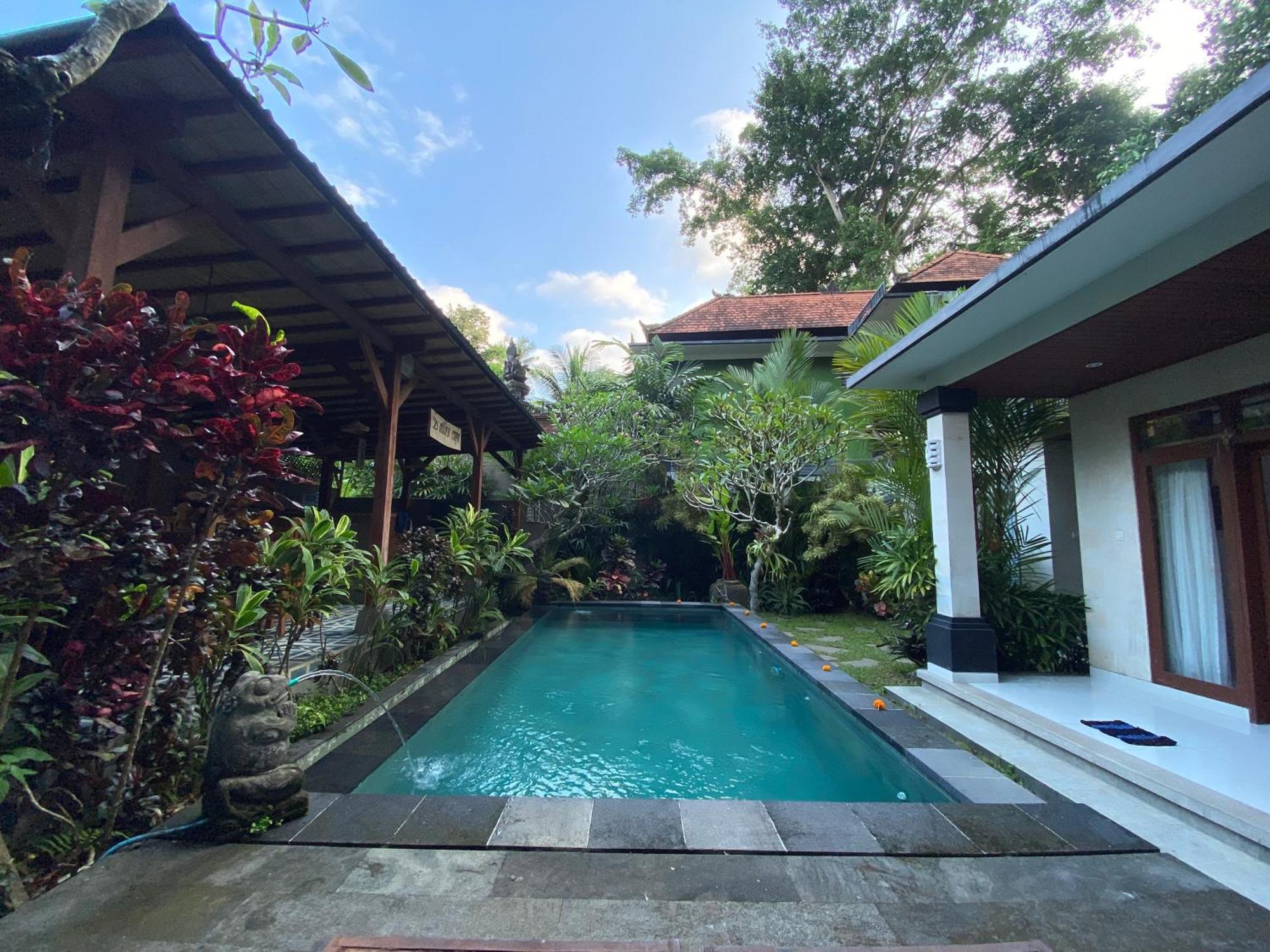 Villa D'bunut