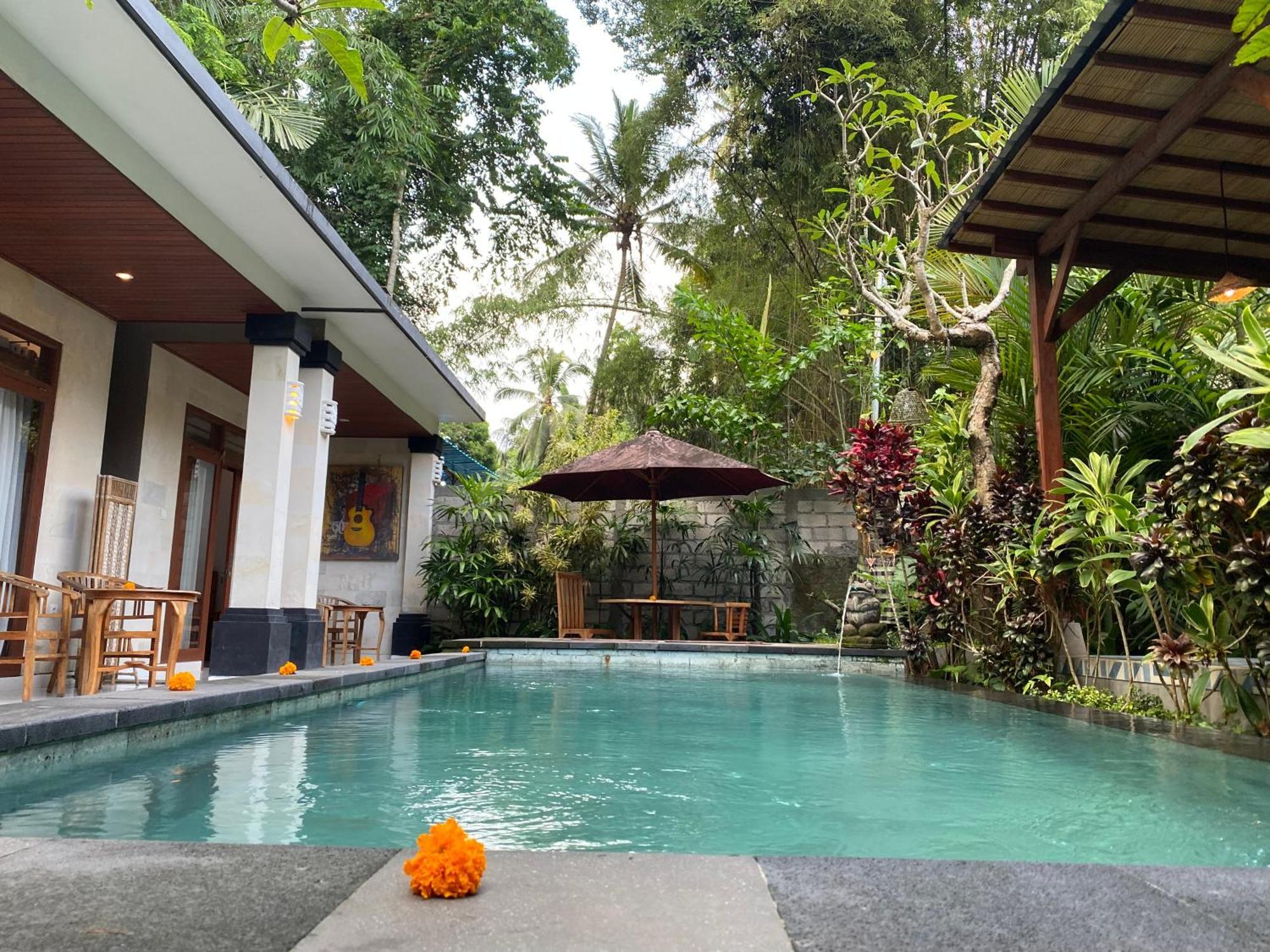 Villa D'bunut *