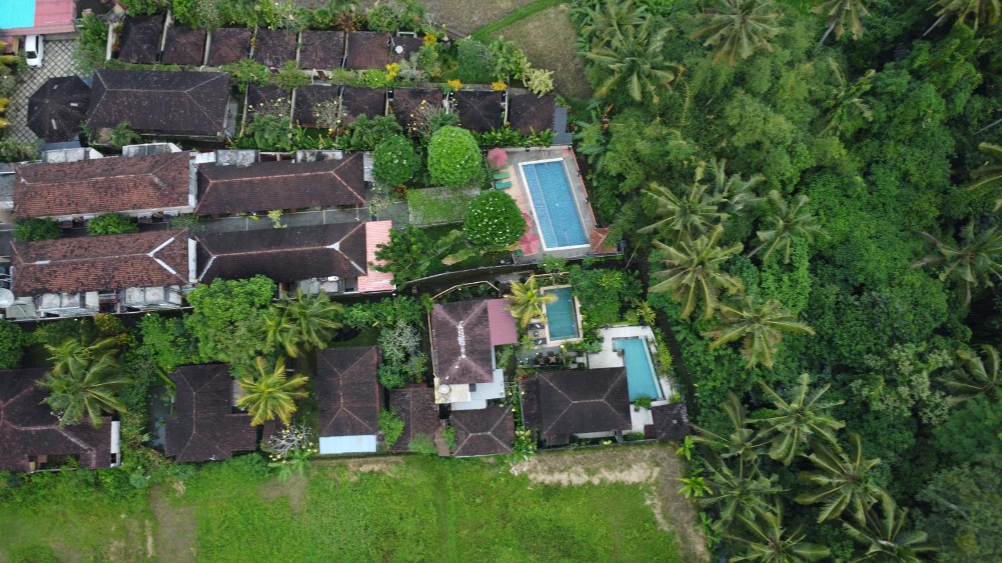 Damara Villa Ubud Villa *