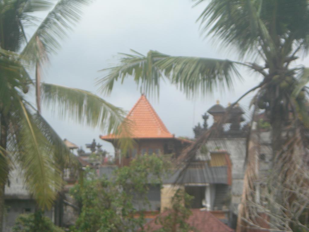 Wisma tamu Ogek *