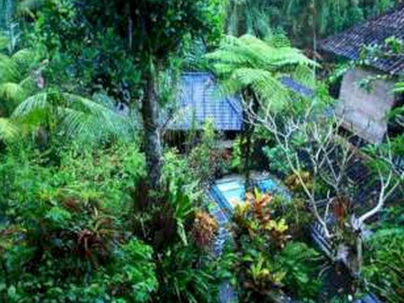 Gusti's Garden 4*