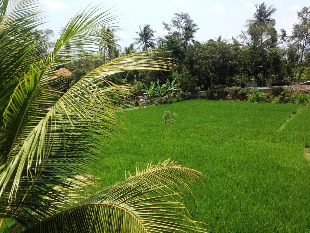 The Sowan 3* Ubud