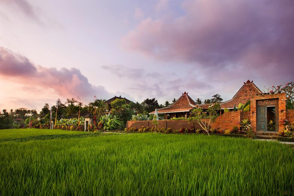Resort Naya 3*