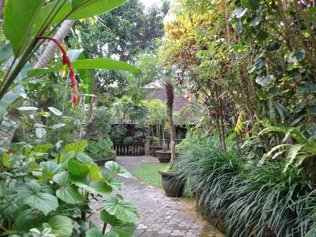 Klub Kokos Ubud (Bali)