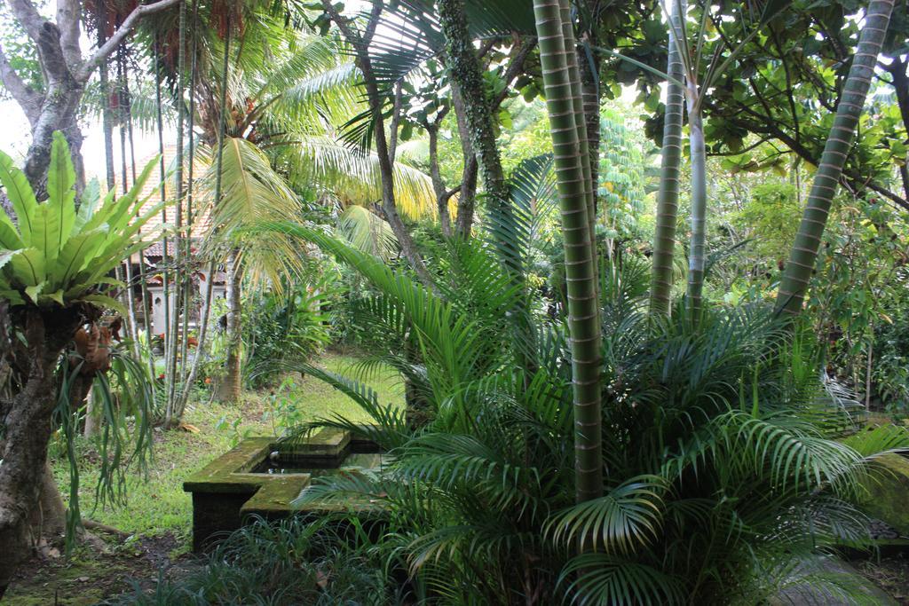 Guest house Bhuana Alit Ubud (Bali)