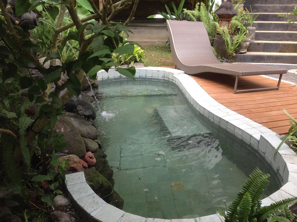 Guest house White Lotus Oasis *