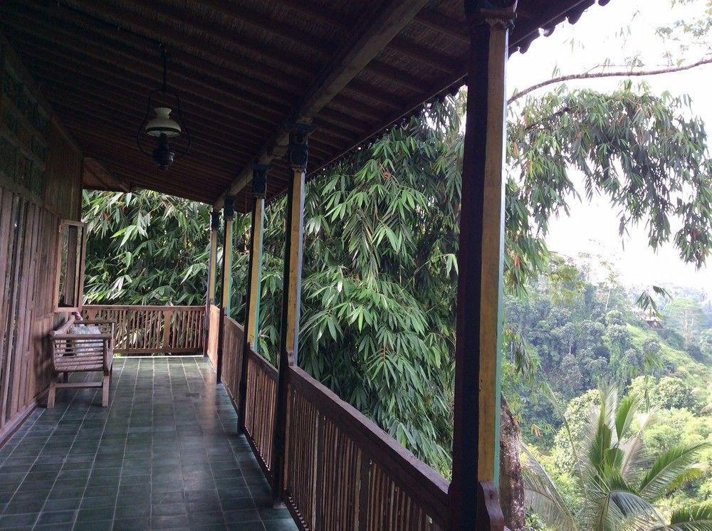 Awang Awang * Ubud