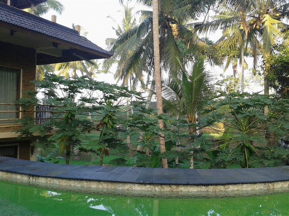 Junjungan And Guest house