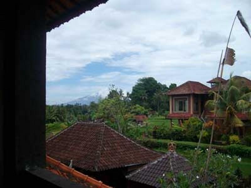 Bali Moon 2*