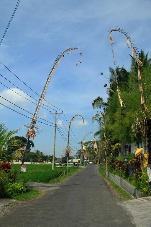 Junjungan And 3* Ubud (Bali)
