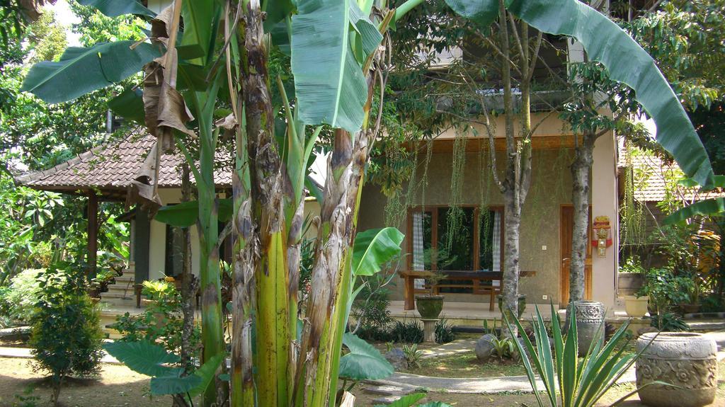 Guest house Bali 68
