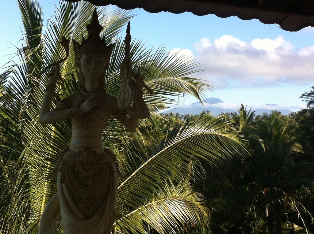White Lotus Oasis Guest house