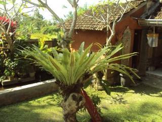 Loka House Hotel