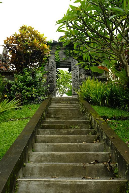 Guest house Green House 2*