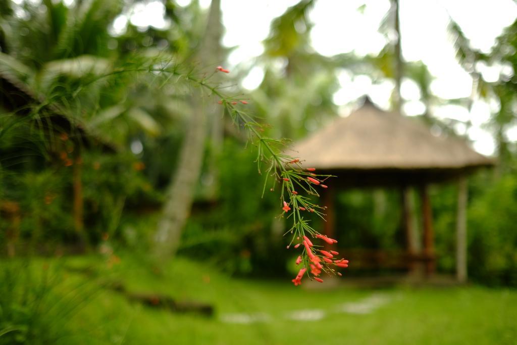 Guest house Green House Ubud (Bali)