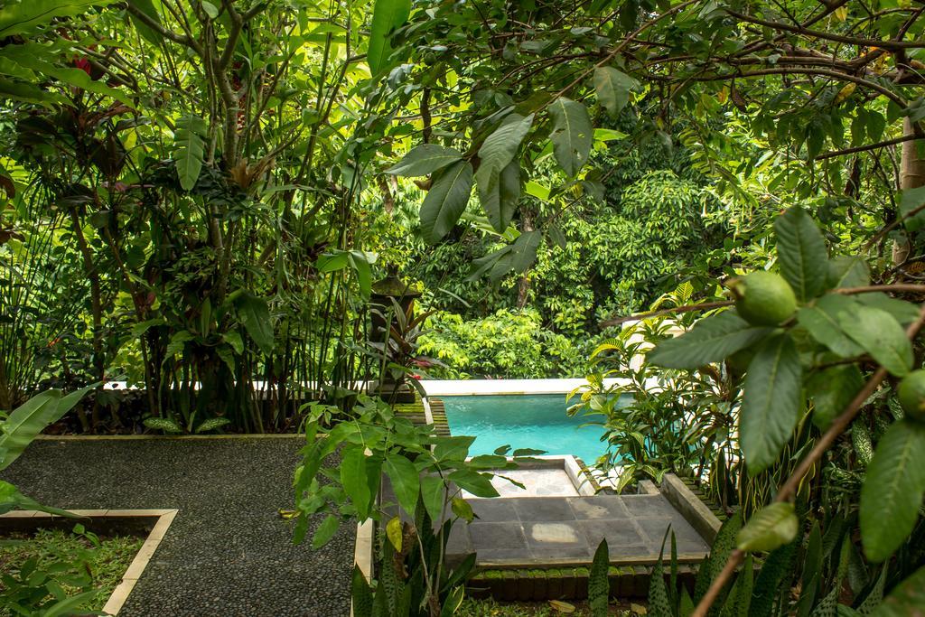 Bismajaya Guest house Ubud (Bali)