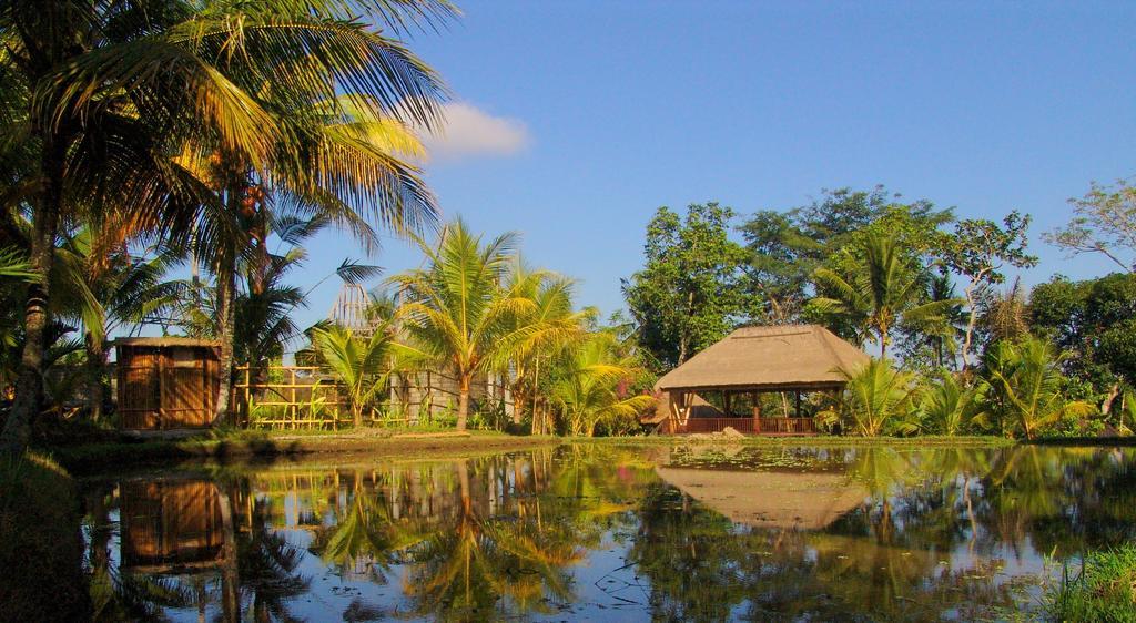 Holiday park Prashanti Bali Ubud (Bali)