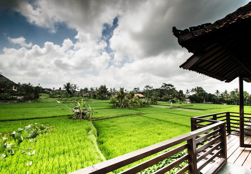 Kami Ubud