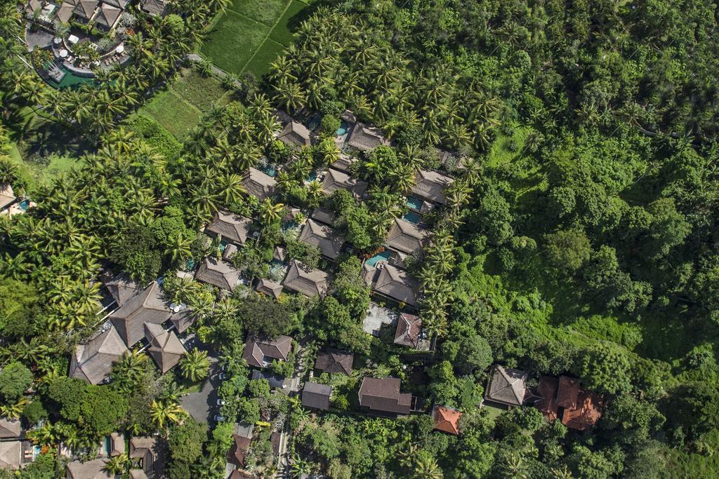 The Village &