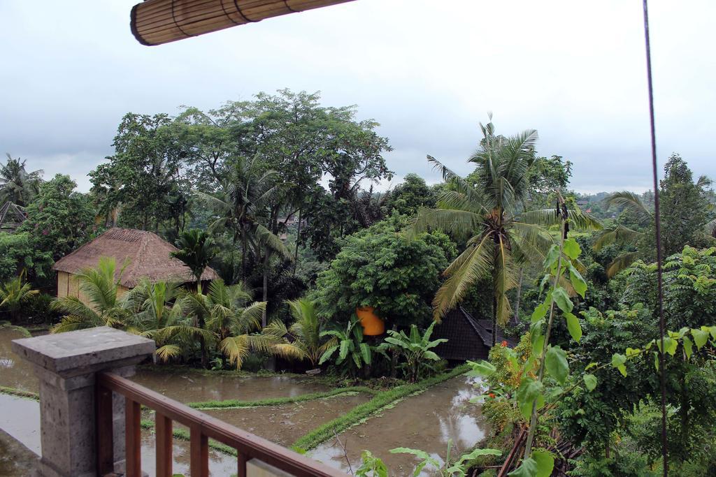 Guest house Restu House