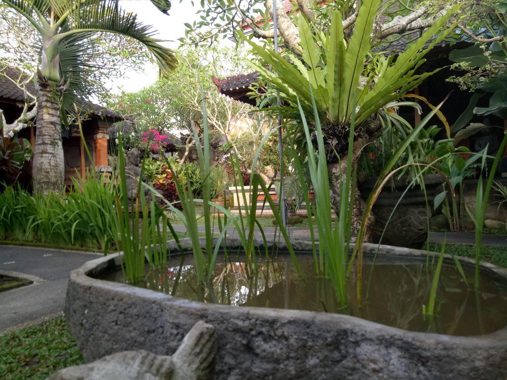 Suryadina * Ubud