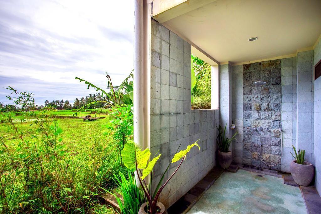 Viola * Ubud