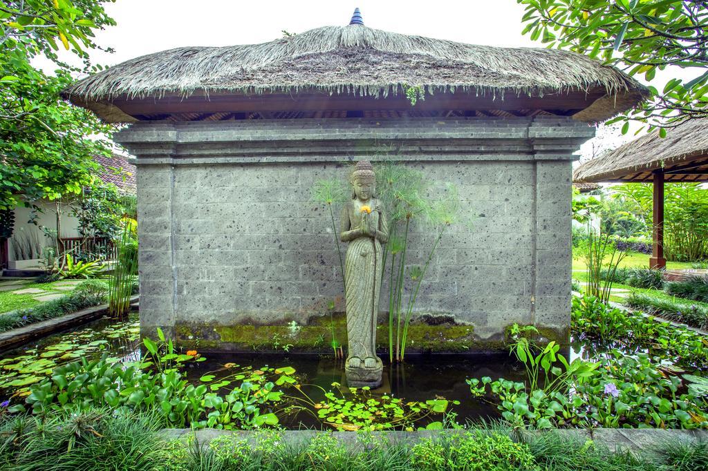 Viola * Ubud