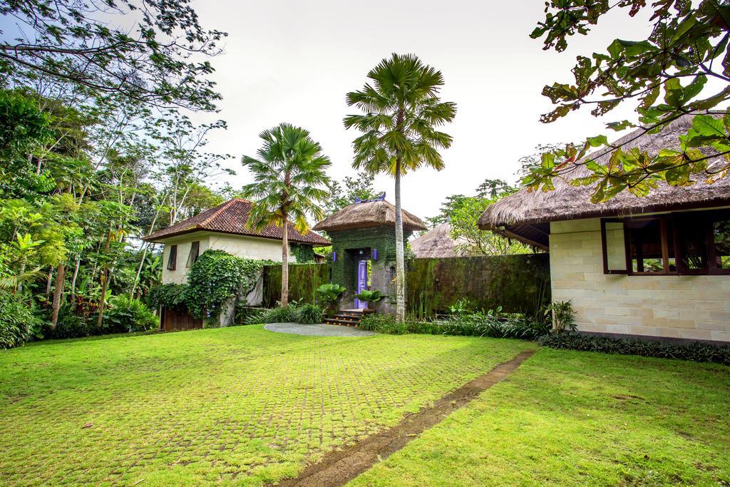 Viola Villa *