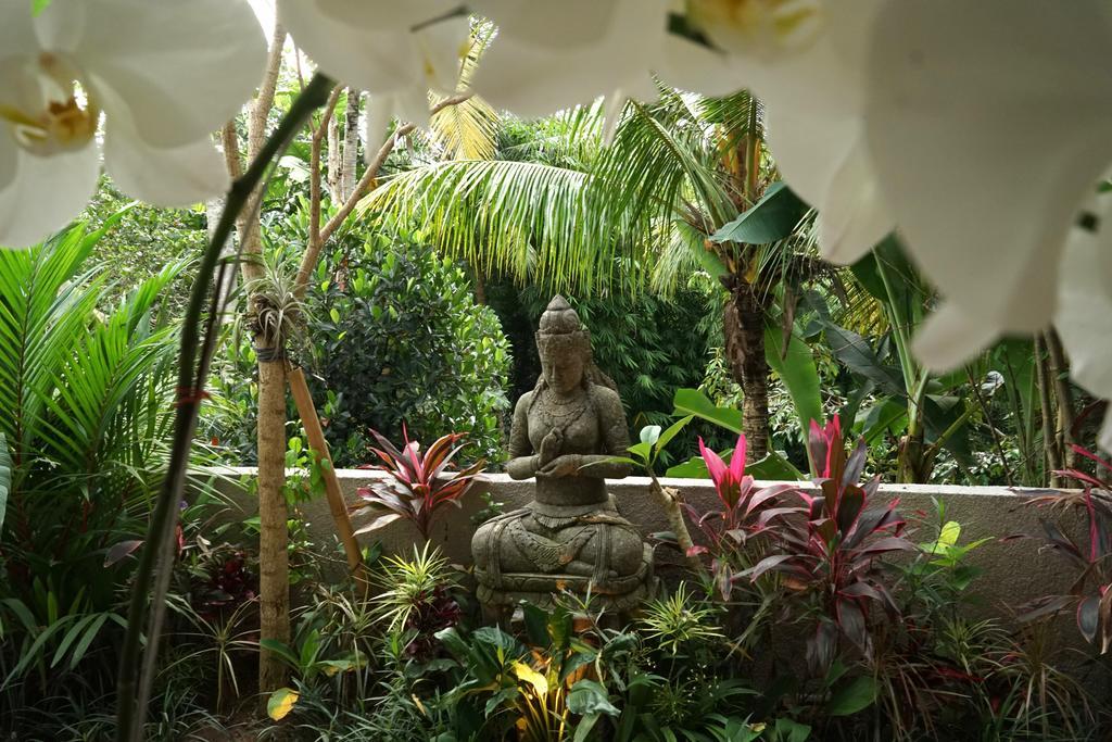 Guest house Cito Ubud (Bali)