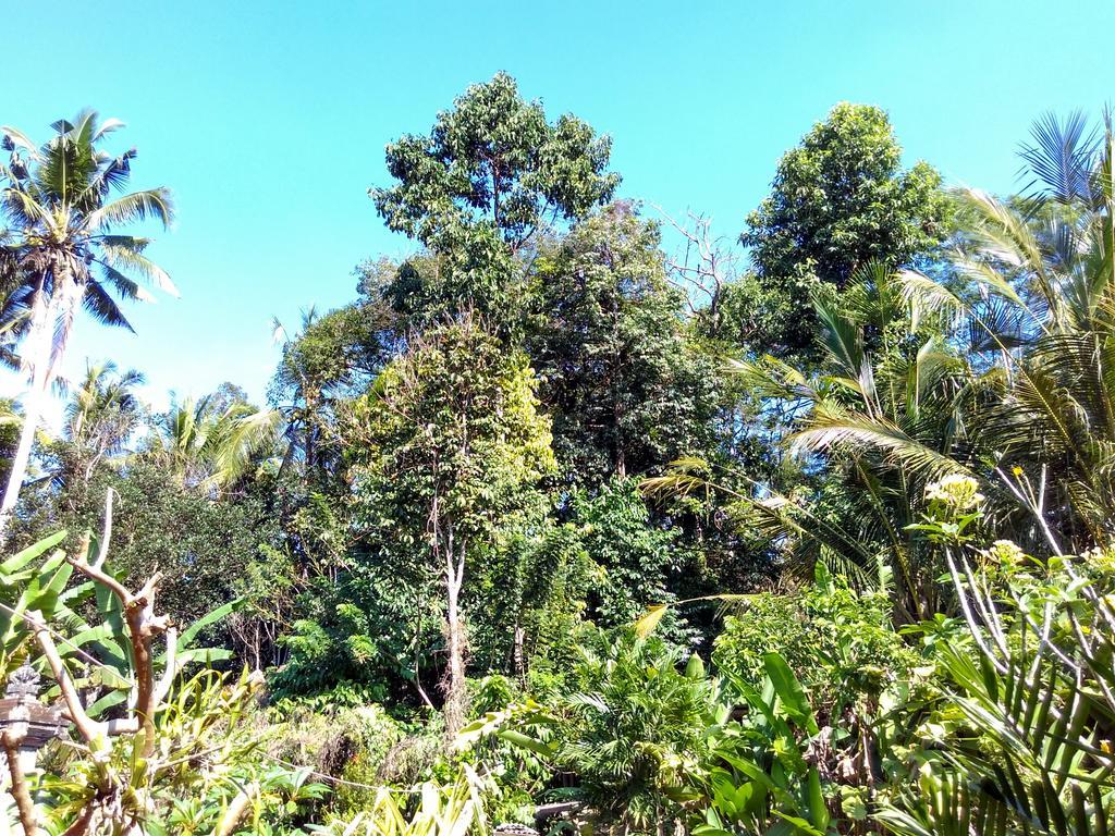 Rumah tetamu Rusma House *