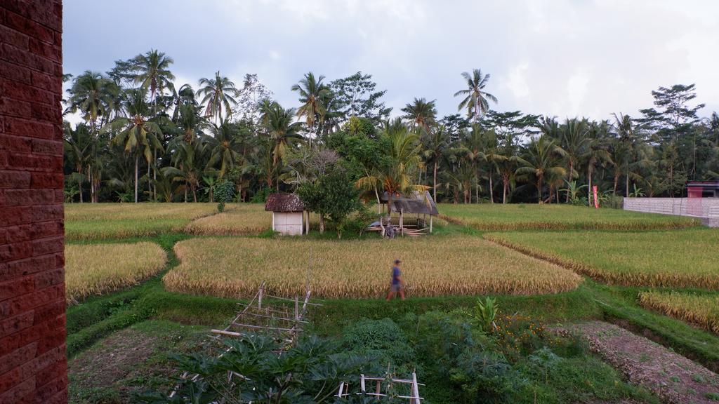 Rumah tetamu Wayan Garden
