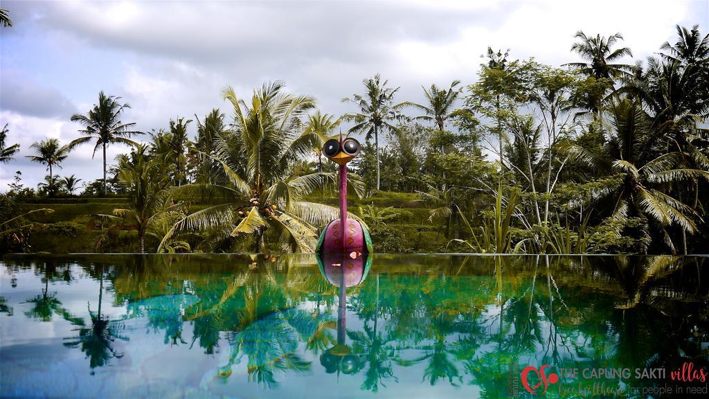Resort Capung Sakti