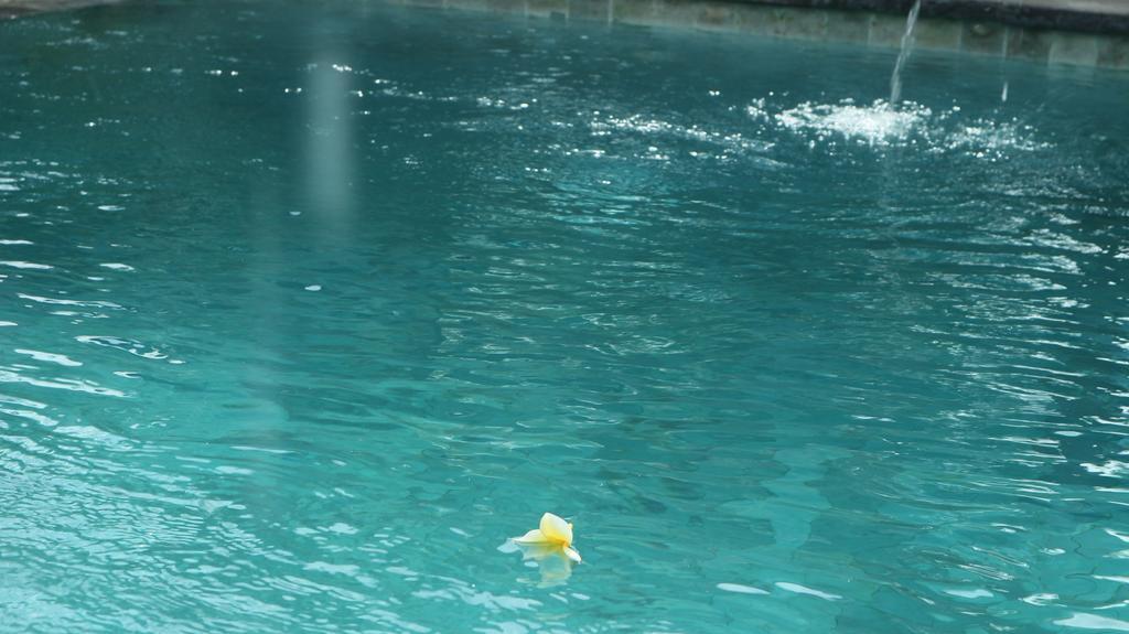 Homestay Chez Ida Ubud (Bali)