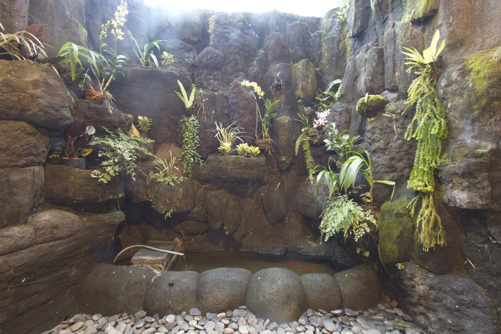 Guest house Uma Loris