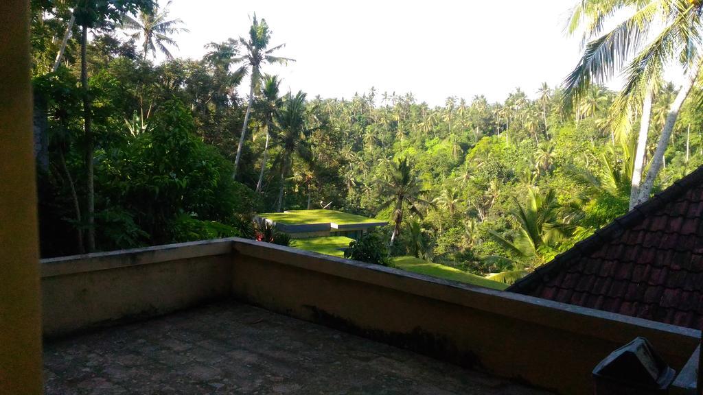 Punia's Jungle Ubud