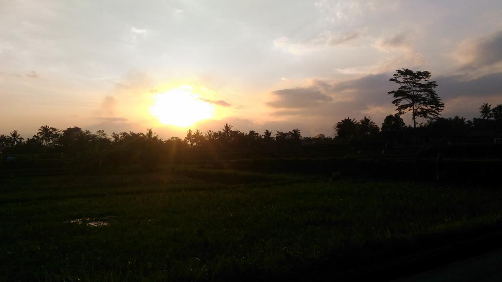 Punia's Jungle Gasthof Ubud