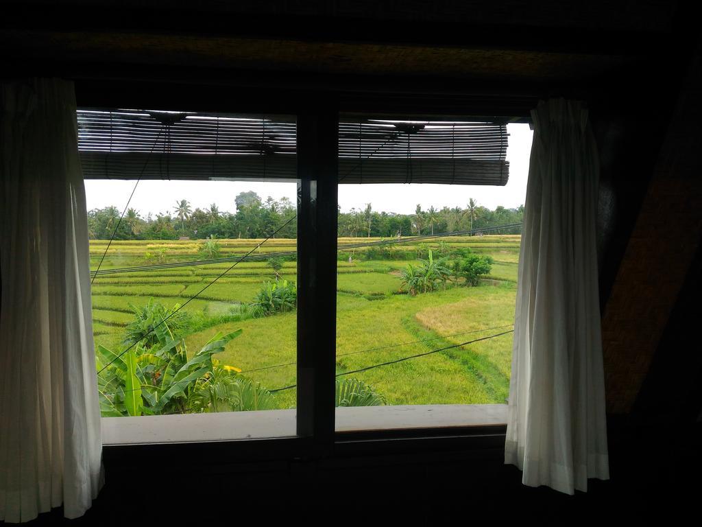 Punia's Jungle * Ubud