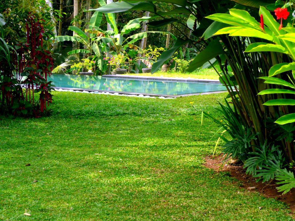 Viola Villa Ubud