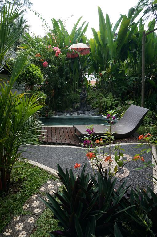 Guest house White Lotus Oasis *