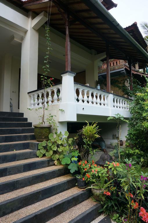 White Lotus Oasis Guest house *